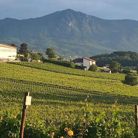 Luksustelt Gioiavitae - Bed-in-botte - Dormire In Vigna *