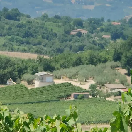 Gioiavitae - Bed-in-botte - Dormire In Vigna * Luogosano