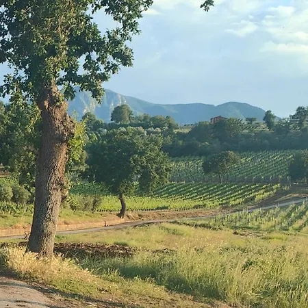 Luxusní stan Gioiavitae - Bed-in-botte - Dormire In Vigna *