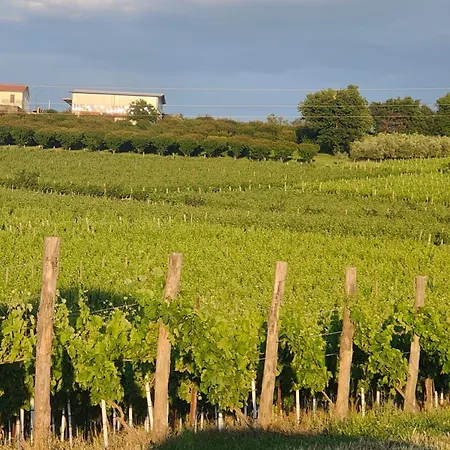 Gioiavitae - Bed-in-botte - Dormire In Vigna Luxusní stan Luogosano