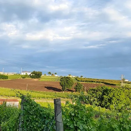 Gioiavitae - Bed-in-botte - Dormire In Vigna Luksustelt