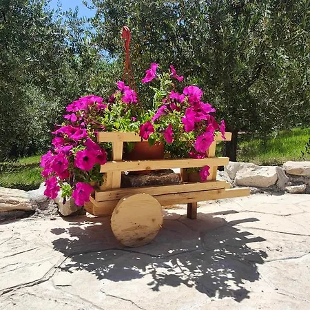 Gioiavitae - Bed-in-botte - Dormire In Vigna Luksustelt