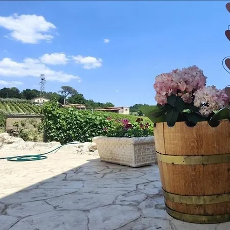Gioiavitae - Bed-in-botte - Dormire In Vigna *
