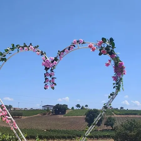 Gioiavitae - Bed-in-botte - Dormire In Vigna Campo de lujo *