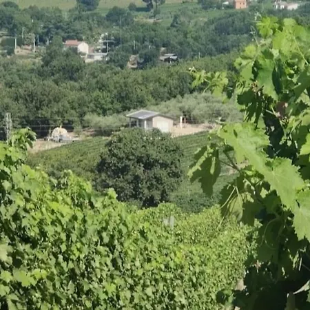 Gioiavitae - Bed-in-botte - Dormire In Vigna Campo de lujo